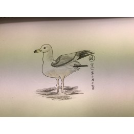 鳥一木顏色水彩畫紙連白色相框465
